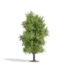 Busch Baum 115 Mm, Frühling H0 -Spielwarenladen baum 115 mm fruhling h0 busch 4001738037210
