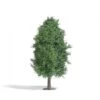 Busch Baum 115 Mm, Sommer H0 -Spielwarenladen baum 115 mm sommer h0 busch 4001738037227