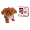 Chi Chi Love Tea Cup Poodle Puppy