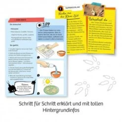 Kosmos Fun Science Triops Züchten -Spielwarenladen fun science triops zuchten 2
