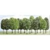 Busch H0 12 Laubbäume -Spielwarenladen h0 12 laubbaeume